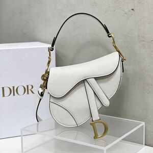 Dior Saddle Medium Bag